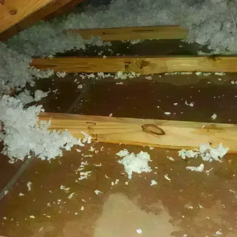 Attic Water Damage in Bicknell, IN